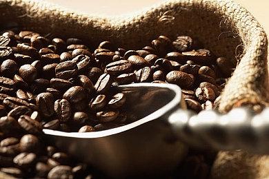 《魔兽世界》对细枝末节处的修改 遭玩家嘲讽