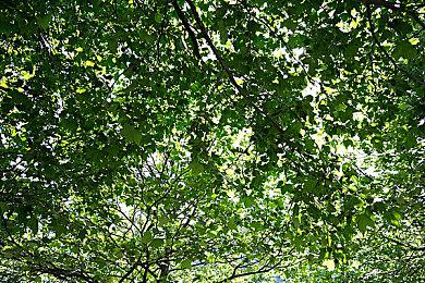 《咚奇刚：蕉力全开》通关时间预估 正常通关20小时全收集60小时